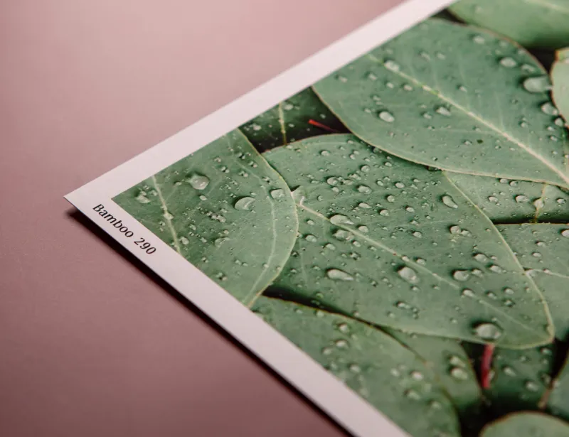 Detail Fine Art papiera Bamboo 290
