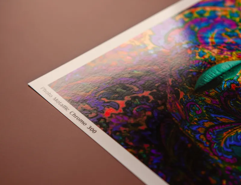 Detail Fine Art papiera Photo Metallic Chrome 300