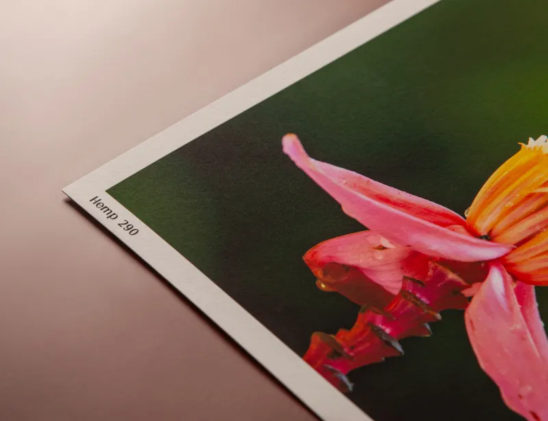 Detail Fine Art papiera Hemp 290